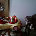���� �����, ������, 47 ��� - ��������� 3 ������ 2013 � ������ ����� ��� ������������