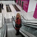 ���� ������, ������� - ��������� 7 ������ 2013 � ������ ���� ����������