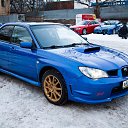 ���� �������, ��������, 41 ��� - ��������� 23 ������� 2013