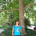 ���� �� ������� ���� ����������