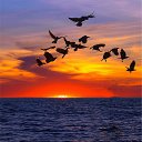 ���� �������, ���� - ��������� 9 ������� 2013 � ������ ������ ���������, ��� �������� ����� ������..................�