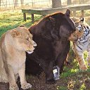  ,      ....   .   !!!     ...