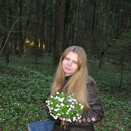 �������, ������, 37 ���