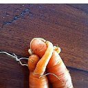 ������-�������!!! �� ������� ���� ����������