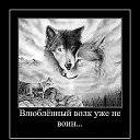 ���� King Black Wolf K&kappa;&psi;&eta;&beta;&omega;, �����-���������, 48 ��� - ��������� 8 ������ 2013 � ������ ���� ����������