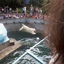 ���� ��������, ����������� - ��������� 12 ������� 2013 � ������ ���� ����������