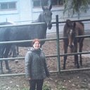 ���� ������, ������ - ��������� 15 �������� 2013 � ������ ����� ������