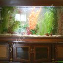 ���� �����, ������-��-����, 41 ��� - ��������� 27 ������� 2013 � ������ ���� ������....�