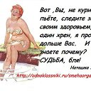 ���� ������ ���������, ��������, 49 ��� - ��������� 7 ������� 2014