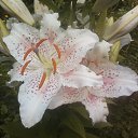 ���� ��������, ����� - ��������� 3 ����� 2014 � ������ ��฻