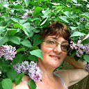 ���� �������, ������, 71 ��� - ��������� 9 ������ 2014