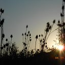 ������� ����� �� ������� �������