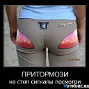 ���� ����, ������, 54 ���� - ��������� 31 ������� 2013 � ������ �������������