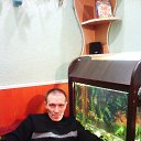 ���� �������, ���������, 51 ��� - ��������� 20 ������ 2013