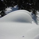 ���� ������, ����, 48 ��� - ��������� 12 ������ 2014 � ������ ���� ����������