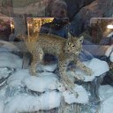 ���� ��������, ��������, 57 ��� - ��������� 17 ������� 2014 � ������ ���� ����������