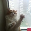 ����� �������� �� ������� ���� ����������