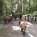 ������ 2 �� ������� ���� ����������