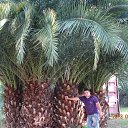 ���� ��������, ������������, 48 ��� - ��������� 9 ������� 2013 � ������ ���� ����������