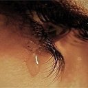 ���� �������, �������, 41 ��� - ��������� 23 ������� 2013 � ������ ���� ����������