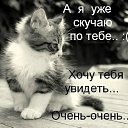 ���� �����, ������� - ��������� 15 ������ 2014 � ������ ���� ����������