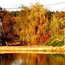 ���� �����, �����, 64 ���� - ��������� 30 ������ 2013 � ������ ��Ψ�