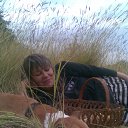 ���� ������-�, ����, 63 ���� - ��������� 27 ������� 2013 � ������ ���������� ����� �� �������