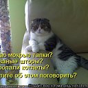 ���� ����������, ������, 48 ��� - ��������� 7 ������� 2013 � ������ �����������