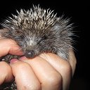 ���� ������� -------, ����������� - ��������� 7 ������� 2014 � ������ �������