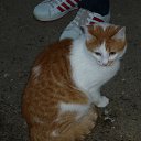 ���� &bull;&deg; ������ &deg;&bull;, ������ - ��������� 1 ������� 2013 � ������ ���� ����������