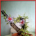 ���� ����, ����-�����������, 41 ��� - ��������� 3 ������� 2014 � ������ ������� ������ � �������� ��������