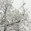 ���� Natal��, ������ ��� - ��������� 11 ������� 2014 � ������ ���� ����������