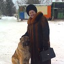 ���� �������, ������ - ��������� 25 ������ 2014 � ������ ���� ����������