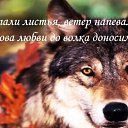 ���� ��� �����, ��� - ��������� 9 ����� 2014 � ������ ���� ����������