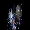 ���� ���������, �����������, 39 ��� - ��������� 11 ������ 2013 � ������ ��������� ���