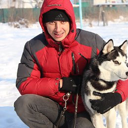 �����, ���������, 39 ���