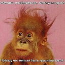 ���� ������, �����, 62 ���� - ��������� 13 ������ 2013 � ������ ���� ����������