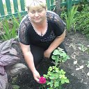 ���� ����, ������, 50 ��� - ��������� 13 ������� 2013