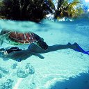 ���� ����, ������, 54 ���� - ��������� 31 ������� 2013 � ������ �������������