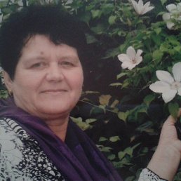 �������, ������, 66 ���