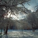 ���� �������, ���������, 68 ��� - ��������� 1 ������� 2013 � ������ ��������