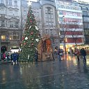 ���� �������, ������, 68 ��� - ��������� 19 ������ 2014 � ������ ������