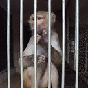 ���� ���������, ���������, 51 ��� - ��������� 21 ������� 2013 � ������ ���� ����������