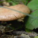 ���� Misterij, ����� - ��������� 30 ������� 2013 � ������ �������....���̻