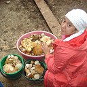 ���� ������, ���-�����, 48 ��� - ��������� 7 ������� 2014 � ������ ���� ����������