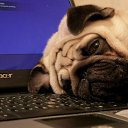 �������� ) �� ������� ���� ����������