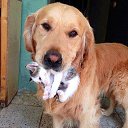 - ,      ???    ,   !