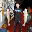 ���� �����, ������, 33 ���� - ��������� 1 ������� 2013 � ������ ���� ����������