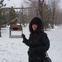 ���� 2013 �� ������� ����� ��� ������������