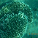 ���� ���������, ����������, 42 ���� - ��������� 28 ������� 2013 � ������ ������ 2013�